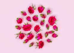 Różyczki na różowym tle