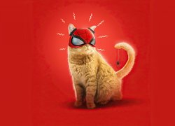 Kot, Tło, Czerwone, Maska, Pająk, Ogon, Spider-Man, 2D