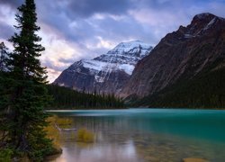 Góry, Góra, Mount Edith Cavell, Las, Drzewa, Chmury, Park Narodowy Jasper, Jezioro, Alberta, Kanada