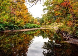 Rzeka Baker w stanie New Hampshire w USA jesienią