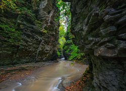 Rzeka Glen Creek w wąwozie Parku Stanowego Watkins Glen