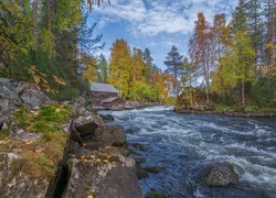Jesień, Park Narodowy Oulanka, Drewniany, Młyn Myllykoski, Drzewa, Rzeka, Laponia, Finlandia