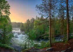 Finlandia, Laponia, Rzeka Kitkajoki, Park Narodowy Oulanka, Wiosna, Las, Rzeka, Drzewa