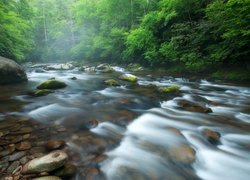Rzeka Little River, Park Narodowy Great Smoky Mountains, Stan Tennessee, Stany Zjednoczone, Kamienie, Drzewa, Las