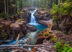 Las, Rzeka Ohanapecosh River, Park Narodowy Mount Rainier, Skały, Roślinność, Stan Waszyngton, Stany Zjednoczone