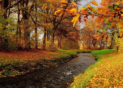 Rzeka płynąca przez jesienny las