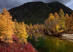 Jesień, Góry, Rzeka, Purga, Pożółkłe, Drzewa, Kołyma, Magadan, Rosja