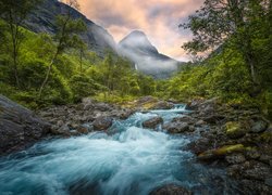  Norwegia, Dolina Romsdalen, Rzeka Rauma, Kamienie, Góry, Drzewa