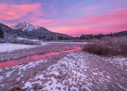 Słowenia, Kranjska Góra, Rezerwat przyrody Zelenci Springs, Wschód słońca, Zima, Rzeka, Drzewa