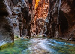 Rzeka Virgin i rozświetlone skały w kanionie Zion Narrows