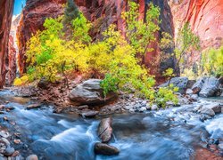Rzeka Virgin River w kanionie Zion Narrows w stanie Utah