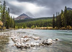 Kanada, Prowincja Alberta, Park Narodowy Banff, Rzeka, Góry, Drzewa, Kamienie