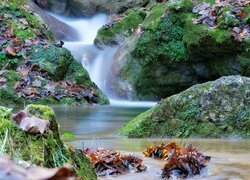 Rzeka, Skały, Omszałe