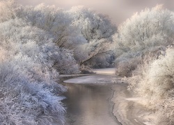 Rzeka zimą w lesie