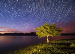 Samotne drzewo nad jeziorem i ciekawe efekty świetlne na niebie