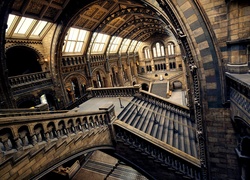 Schody we wnętrzu Muzeum Historii Naturalnej w Londynie