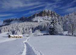 Ścieżka w śniegu na tle lasu i gór