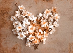 Serce ułożone z kwitnących gałązek na ścianie