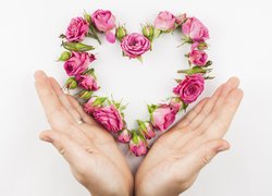 Serce z róż w otwartych dłoniach