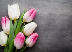 Białe, Biało-różowe, Tulipany