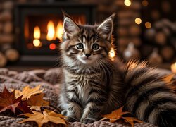 Kot, Legowisko, Liście, Grafika AI