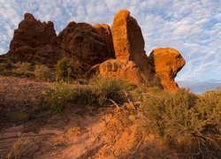 Skały, Krzewy, Formacje, Turret Arch, Park Narodowy Arches, Utah, Stany Zjednoczone