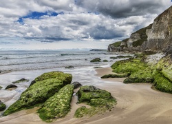 Skały i omszałe kamienie przy brzegu morza
