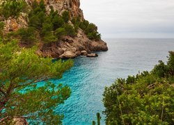 Morze, Zatoka, Skały, Drzewa, Gmina Escorca, Majorka, Hiszpania