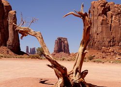 Skały, Suche, Drzewo, Monument Valley, Wyżyna Kolorado, Utah, Stany Zjednoczone