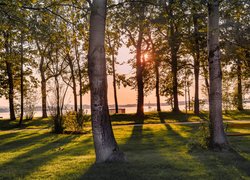 Słoneczny blask zachodzącego słońca wśród drzew nad jeziorem