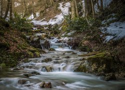 Las, Rzeka, Śnieg, Skarpa, Drzewa, Liście