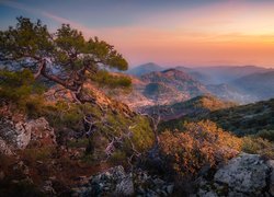 Góry Troodos, Kamienie, Sosna, Zachód słońca, Cypr