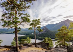 Kazachstan, Góry, Jezioro Borovoe, Drzewa, Sosny