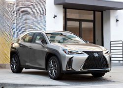 Srebrny Lexus UX200 przed budynkiem