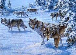 Stado wilków w lesie na obrazie Lee Kromschroedera