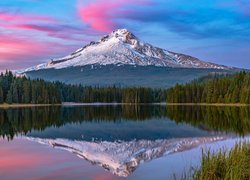 Góry, Stratowulkan Mount Hood, Jezioro, Trillium Lake, Drzewa, Las, Chmury, Stan Oregon, Stany Zjednoczone