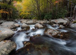 Stany Zjednoczone, Park Narodowy Great Smoky Mountains, Jesień, Las, Rzeka, Strumień, Kamienie, Liście