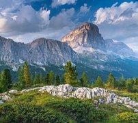 Włochy, Dolomity, Góry Sella, Szczyt Piz Boe, Drzewa, Skały