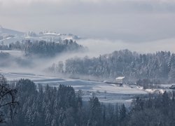 Zima, Śnieg, Drzewa, Mgła, Domy, Wzgórza, Miejscowość Hirzel, Szwajcaria