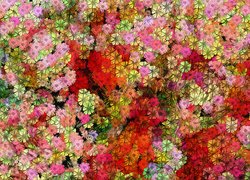 Tekstura w czerwone i różowe kwiatuszki