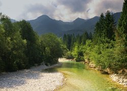 Słowenia, Triglavski Park Narodowy, Rzeka, Kamienie, Drzewa, Góry