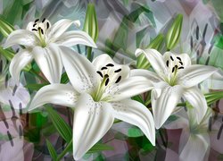 Trzy białe lilie