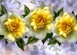 Trzy żółte róże w grafice