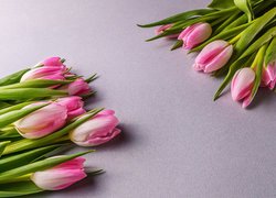 Kwiaty, Biało-różowe, Tulipany, Szare, Tło