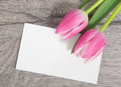 Tulipany na kartce