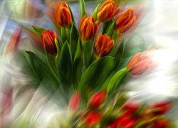 Tulipany w grafice na rozmytym tle