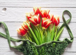 Tulipany w siatce na deskach