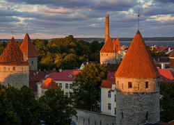 Estonia, Tallinn, Domy, Twierdza Patarei, Wieże, Drzewa
