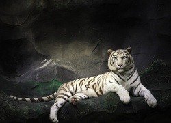 Biały, Tygrys, Skała