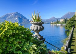 Włochy, Jezioro, Lago di Como, Varenna, Góry, Alpy, Donica, Rośliny
